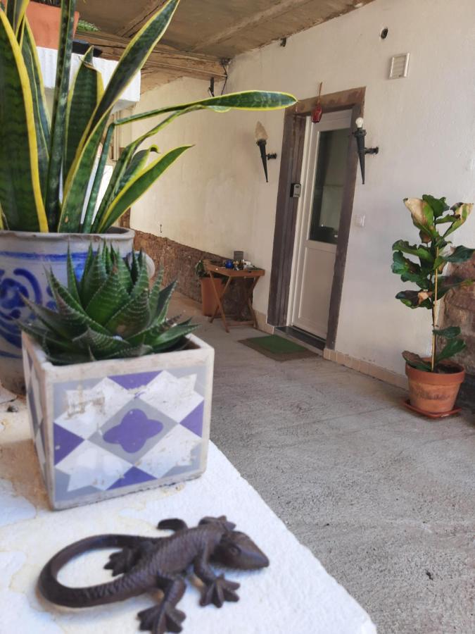 Studio Tout Confort 2 Personnes Au Coeur De L'Alsace Wolxheim エクステリア 写真