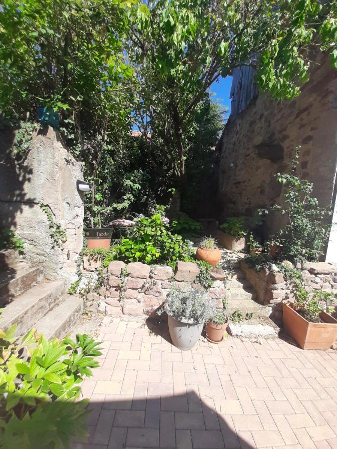 Studio Tout Confort 2 Personnes Au Coeur De L'Alsace Wolxheim エクステリア 写真