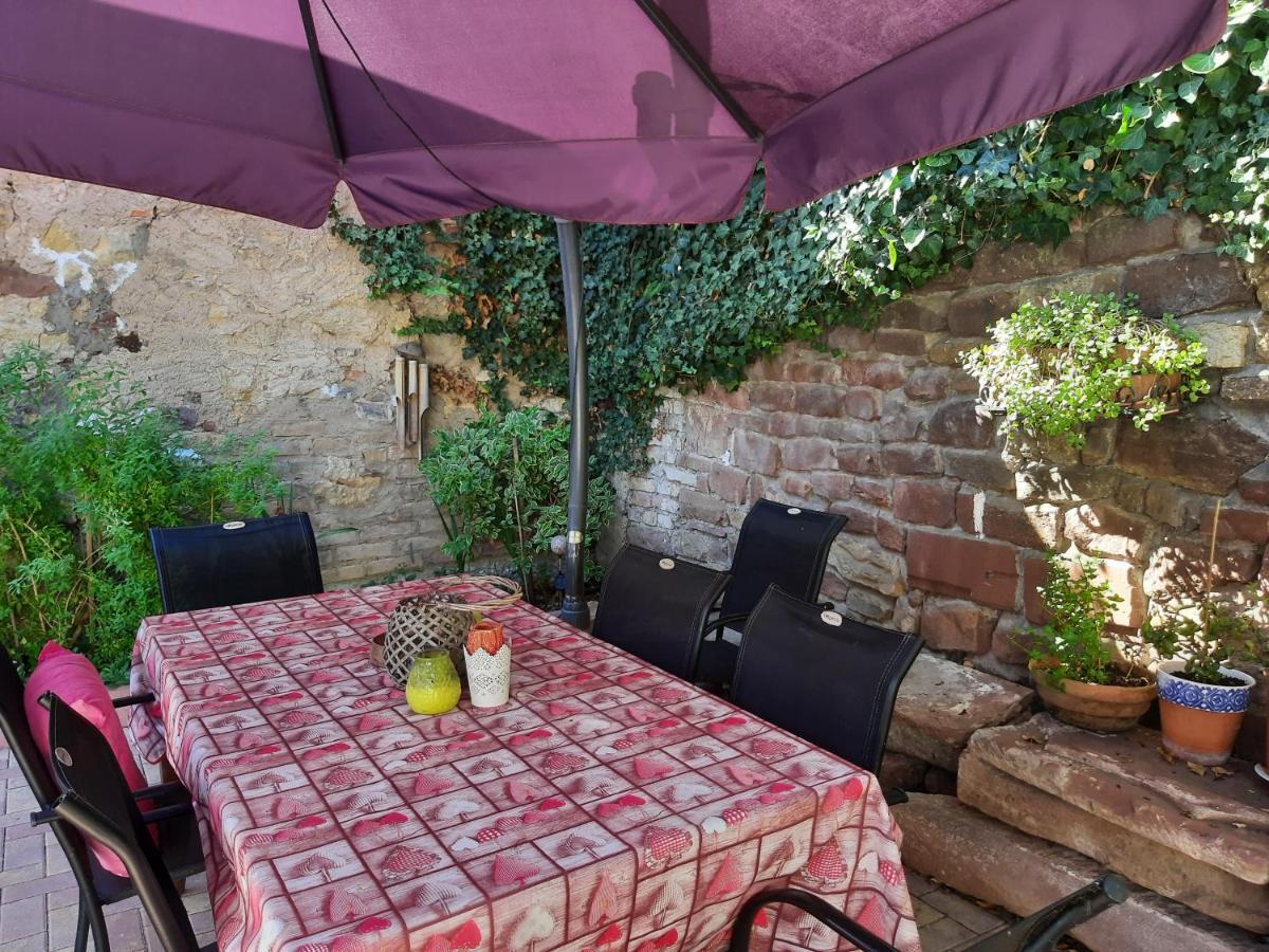 Studio Tout Confort 2 Personnes Au Coeur De L'Alsace Wolxheim エクステリア 写真
