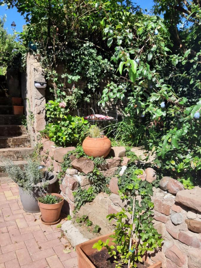 Studio Tout Confort 2 Personnes Au Coeur De L'Alsace Wolxheim エクステリア 写真