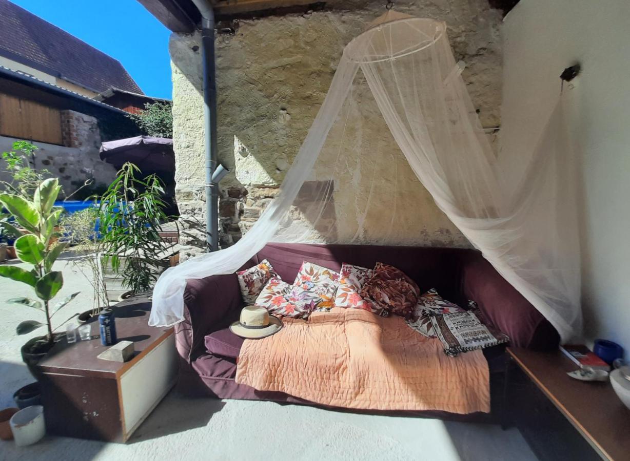 Studio Tout Confort 2 Personnes Au Coeur De L'Alsace Wolxheim エクステリア 写真