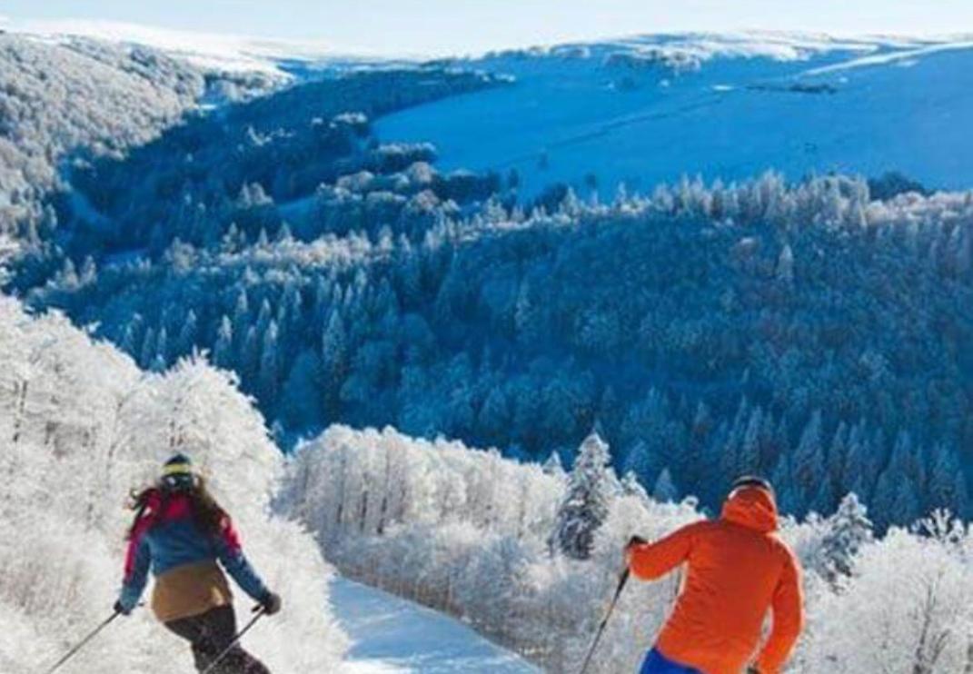 Studio Tout Confort 2 Personnes Au Coeur De L'Alsace Wolxheim エクステリア 写真