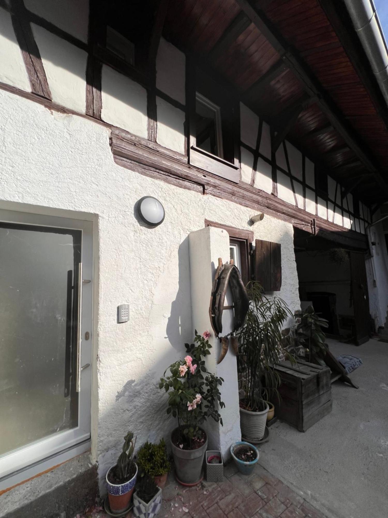 Studio Tout Confort 2 Personnes Au Coeur De L'Alsace Wolxheim エクステリア 写真